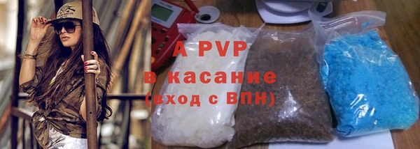 гидра Арсеньев