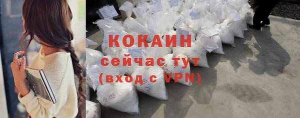 индика Армянск