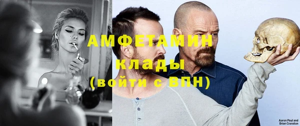шишки Аркадак