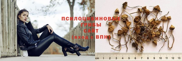 индика Армянск