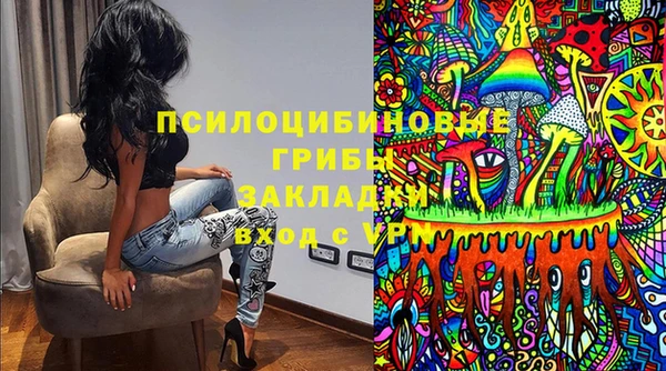индика Армянск