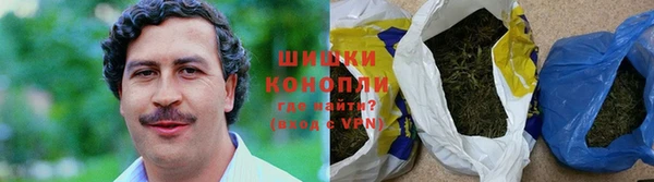 шишки Аркадак