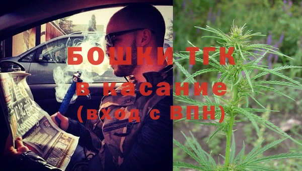 индика Армянск