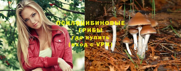 индика Армянск