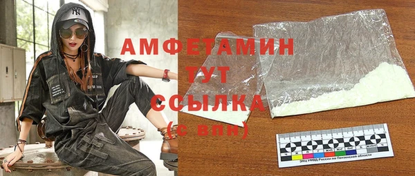 гидра Арсеньев