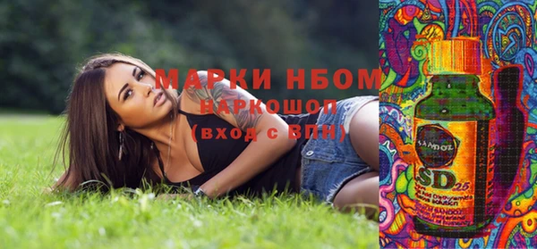 шишки Аркадак