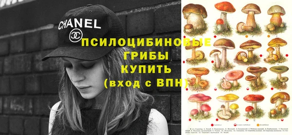 индика Армянск