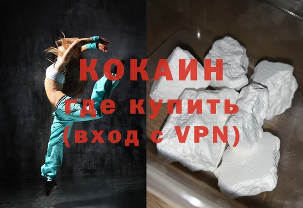 шишки Аркадак