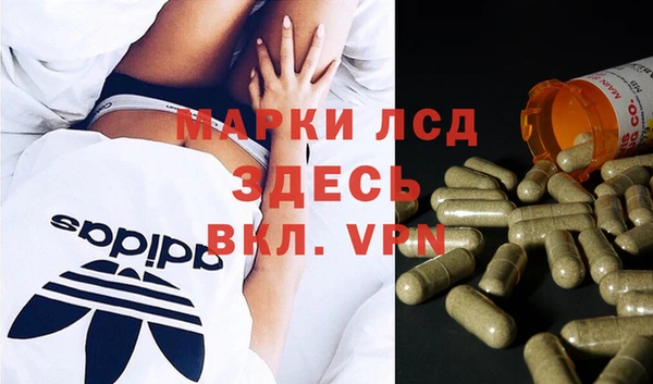 гидра Арсеньев