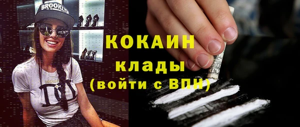 шишки Аркадак