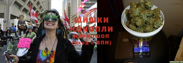 индика Армянск