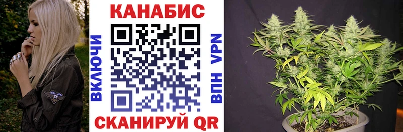 Купить закладки  Бобров  Каннабис индика 